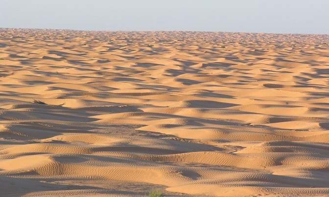 Фото экскурсии