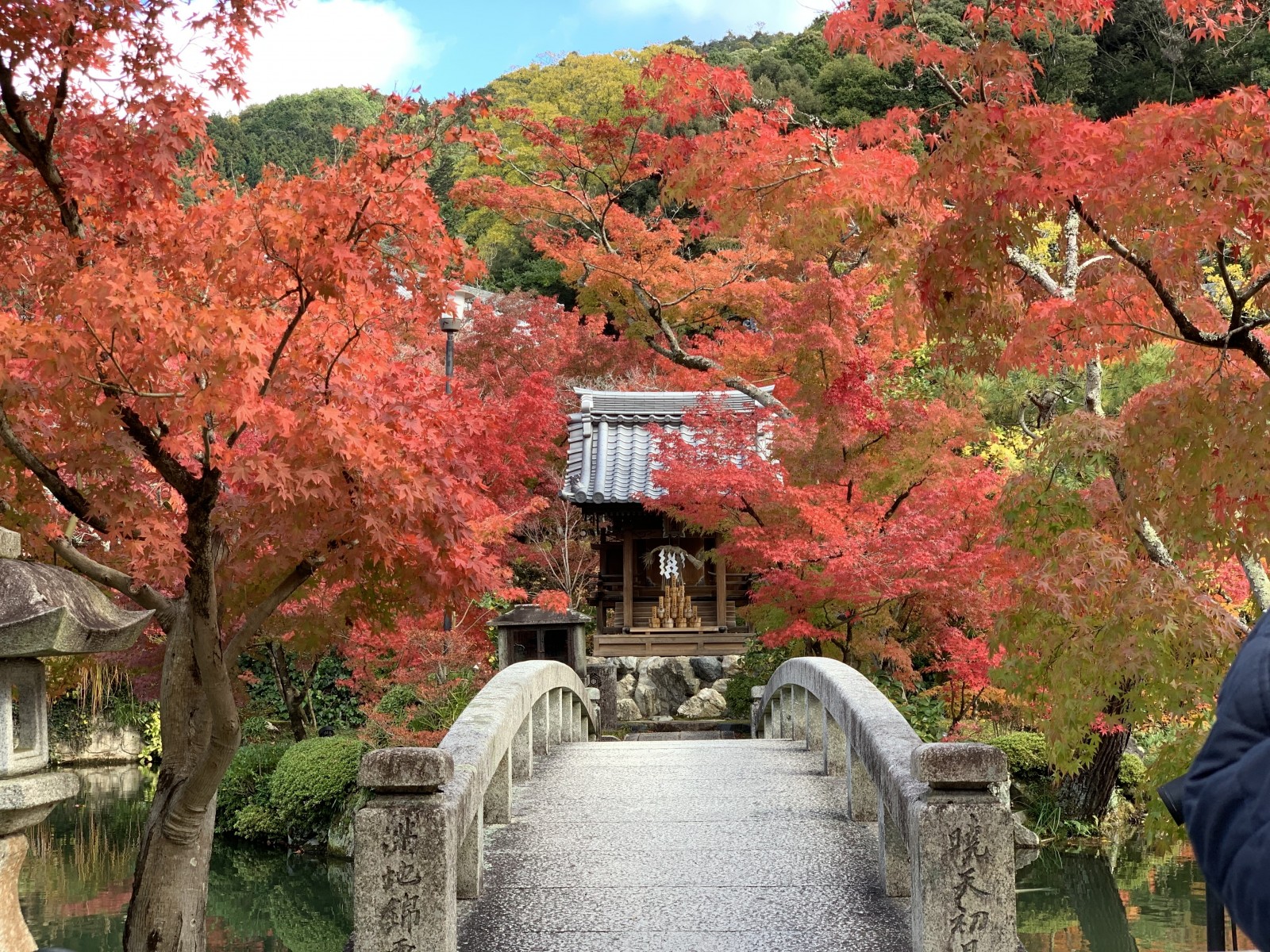 Фото экскурсии