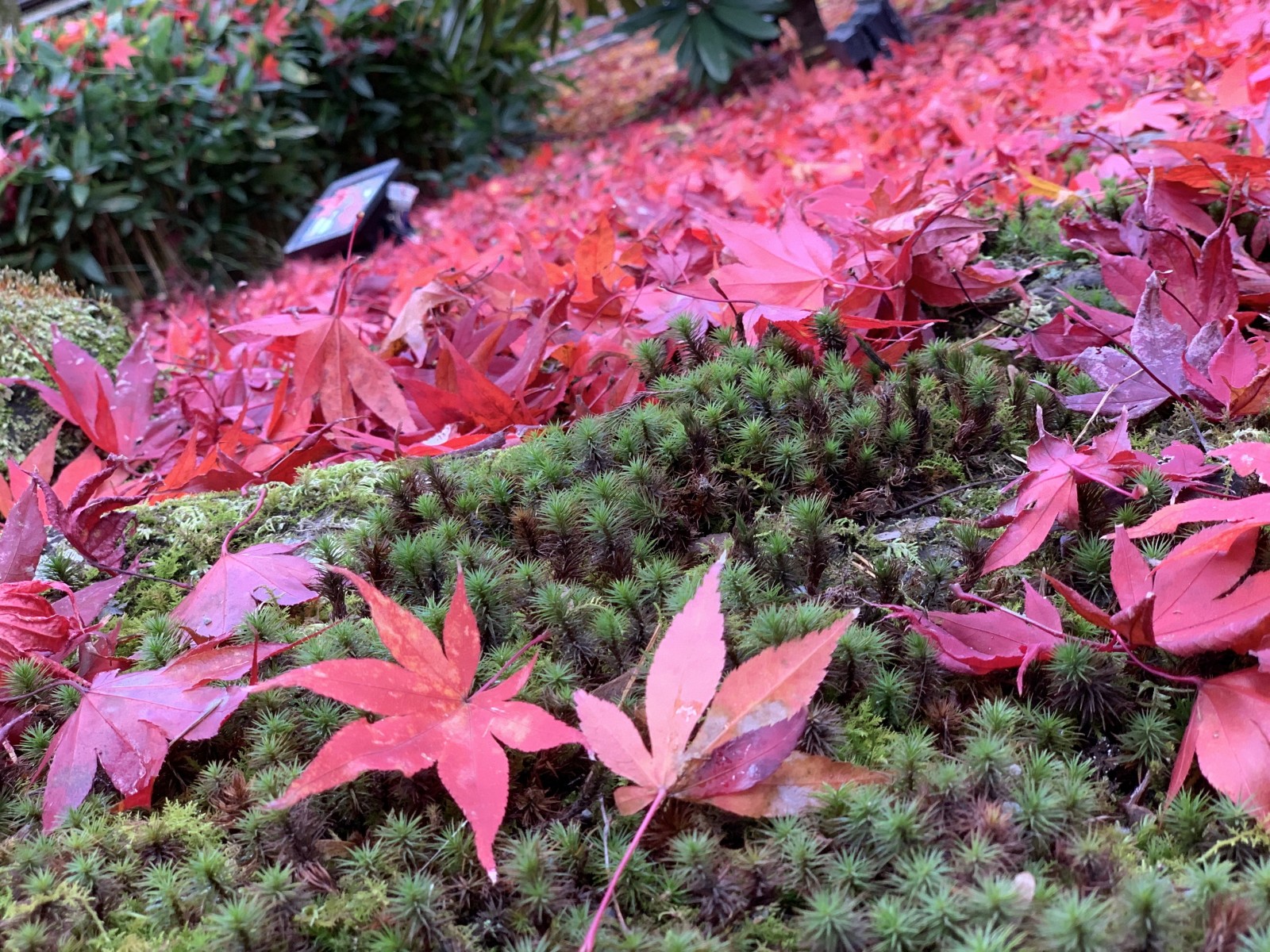 Фото экскурсии