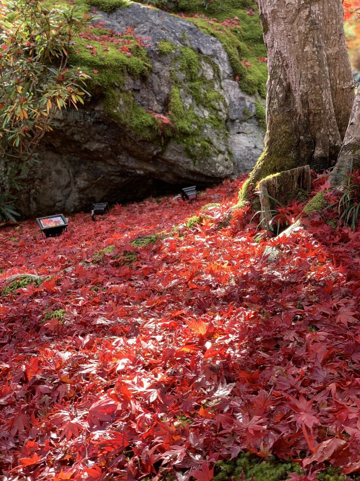 Фото экскурсии