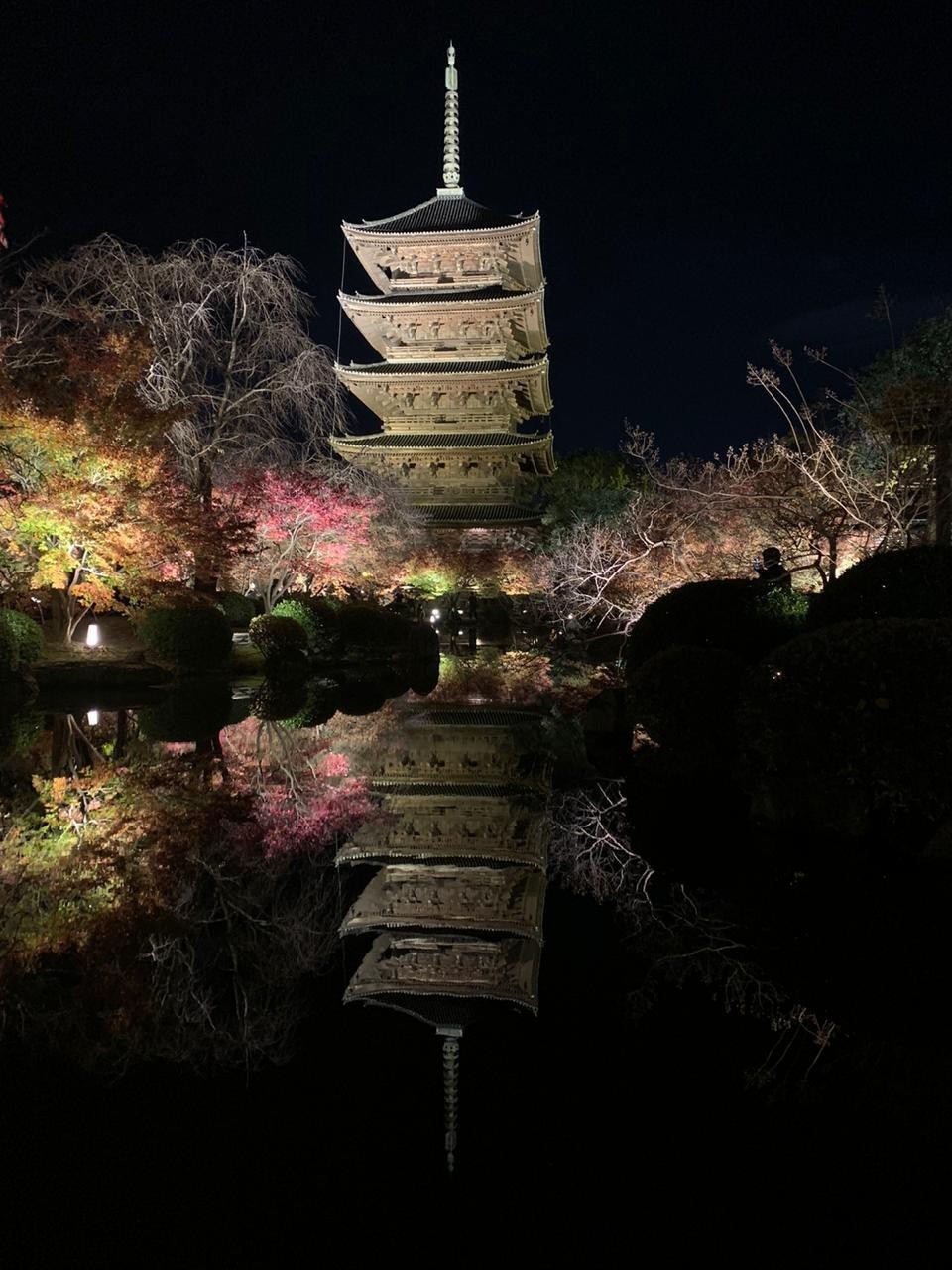 Фото экскурсии