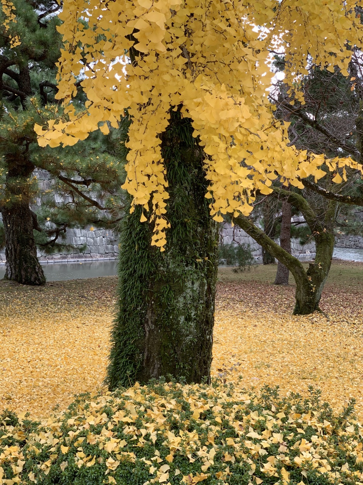 Фото экскурсии