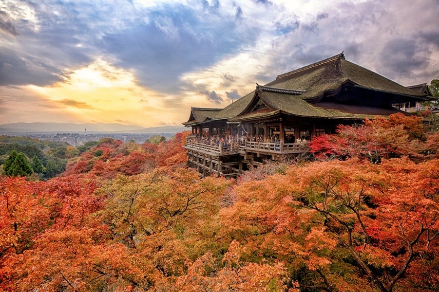 Фото экскурсии