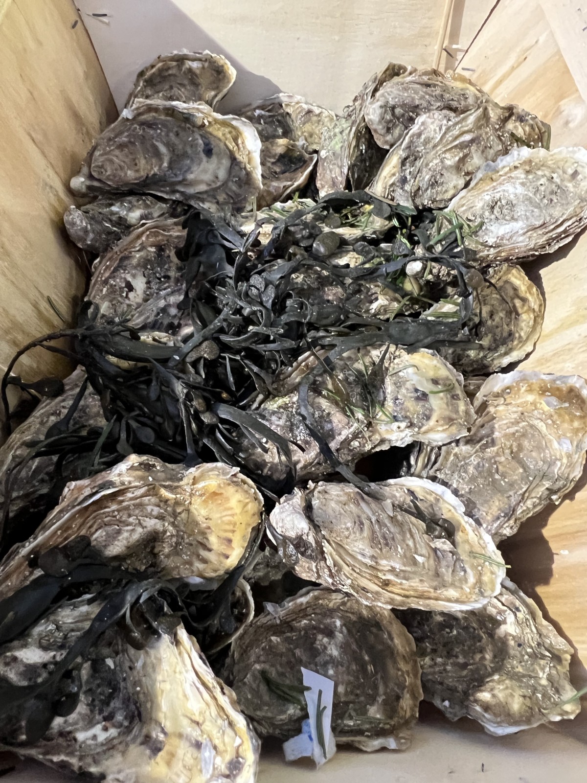 Фото экскурсии