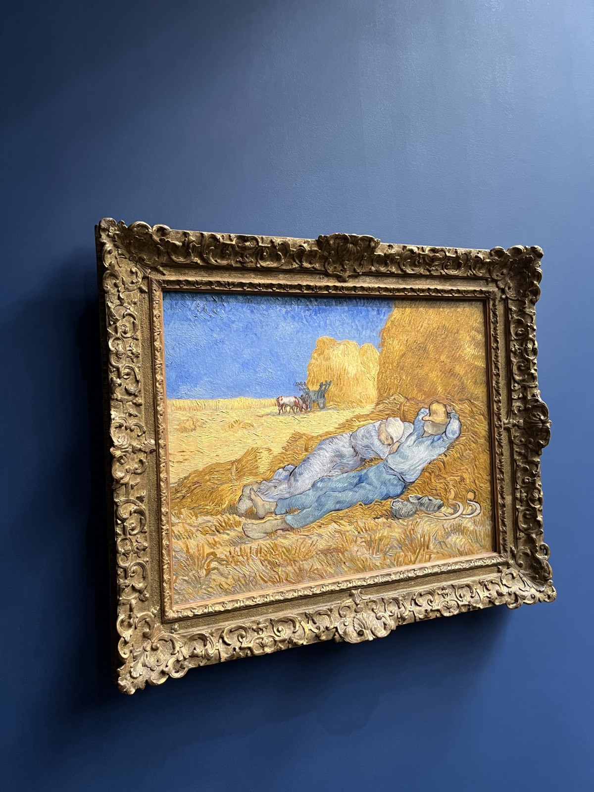 Фото экскурсии