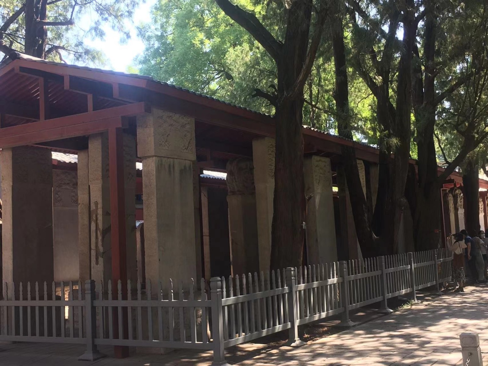 Фото экскурсии