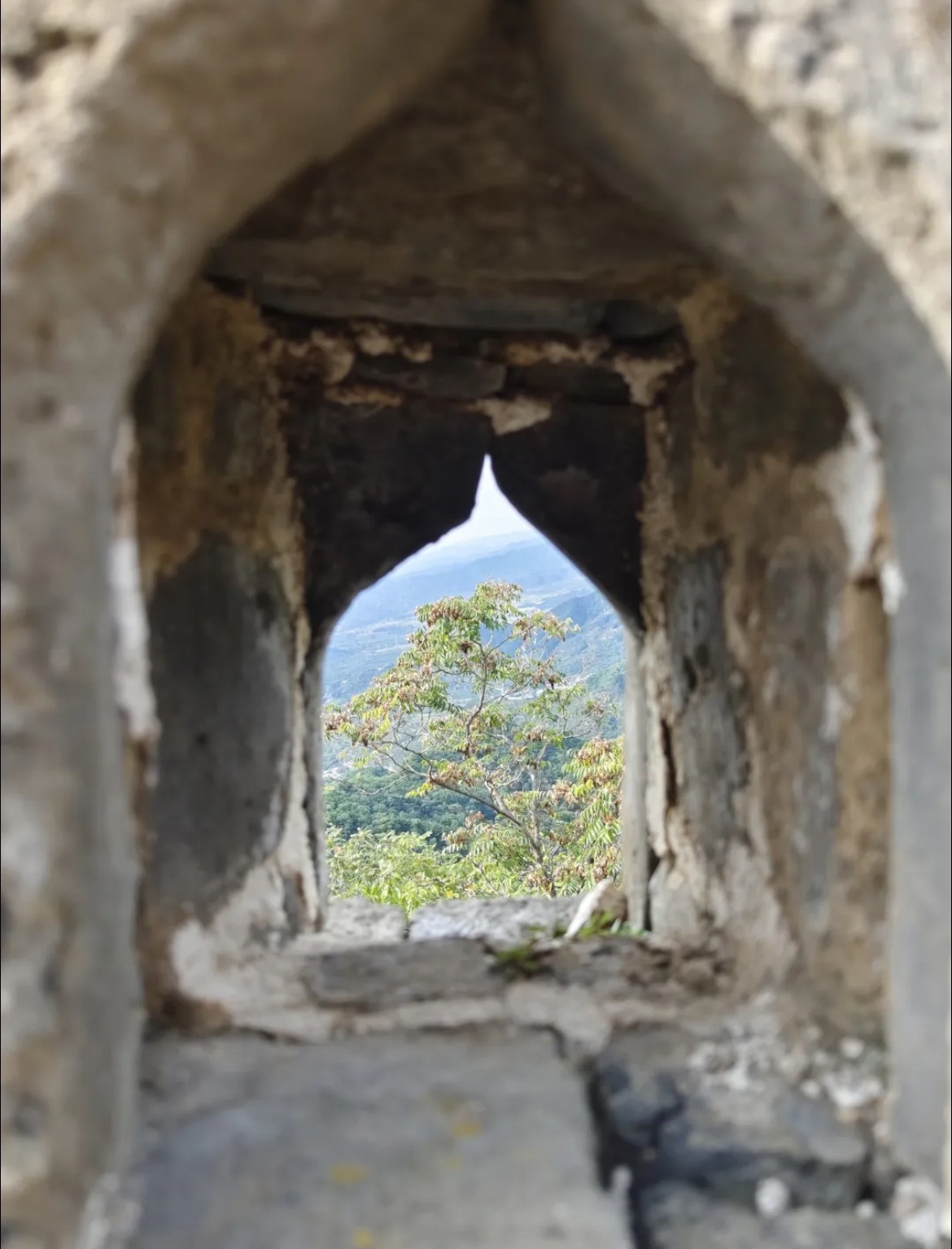 Фото экскурсии