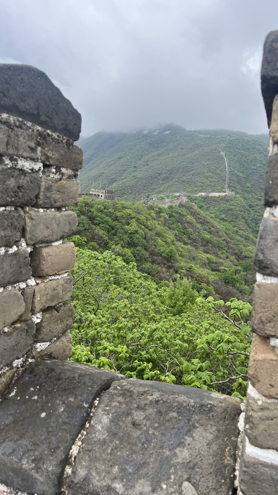 Фото экскурсии