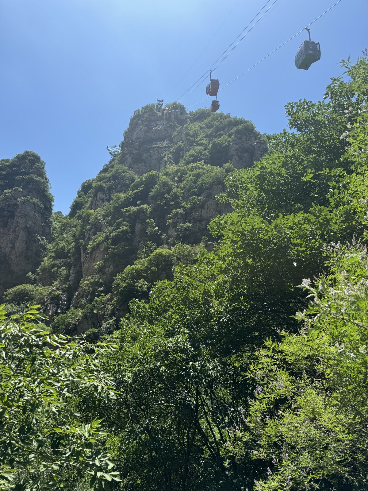 Фото экскурсии