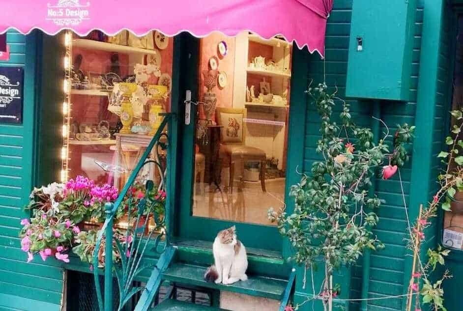 Фото экскурсии