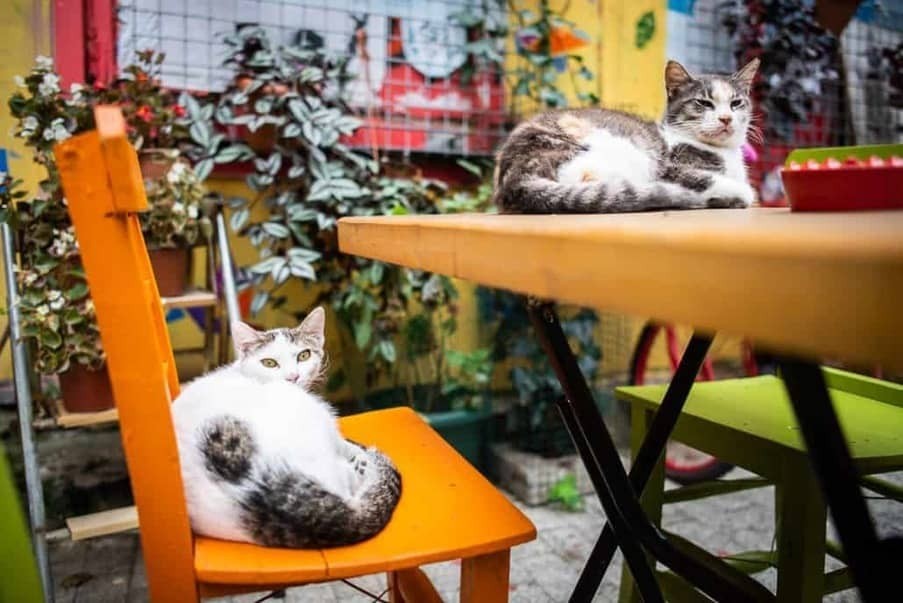 Фото экскурсии