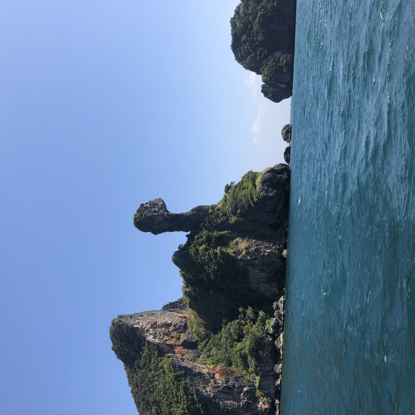 Фото экскурсии