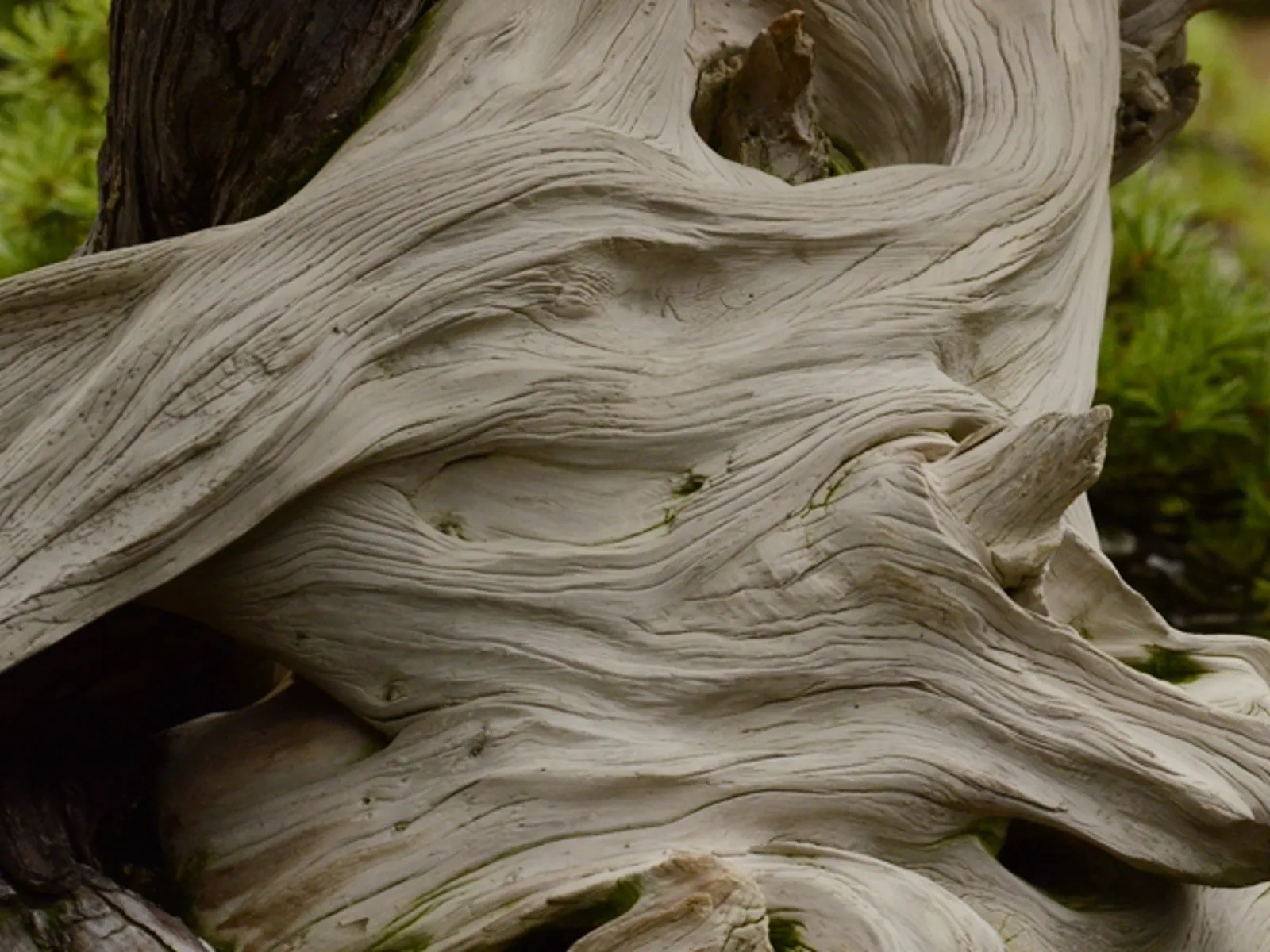 Фото экскурсии