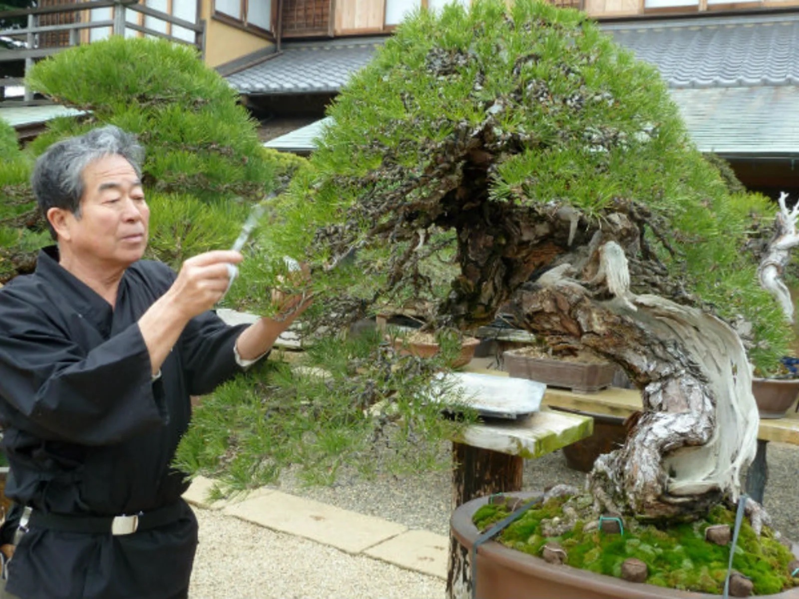 Фото экскурсии