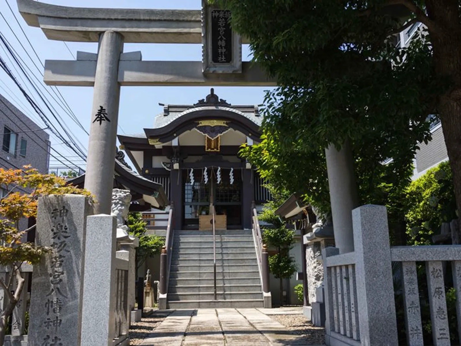 Фото экскурсии