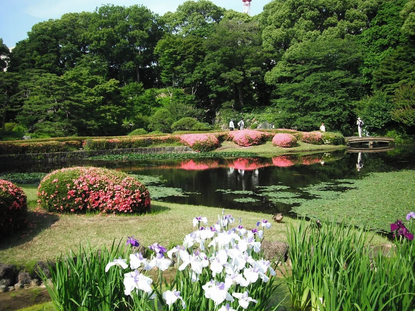 Фото экскурсии