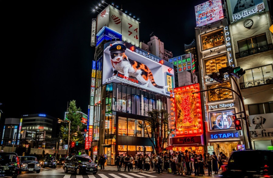 Фото экскурсии