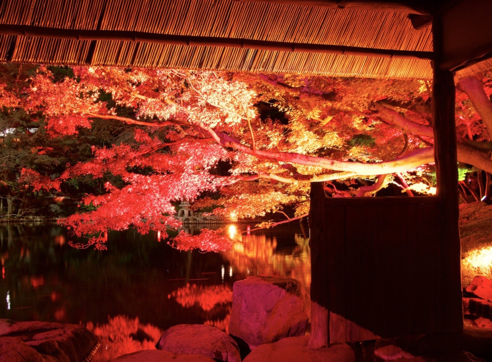 Фото экскурсии