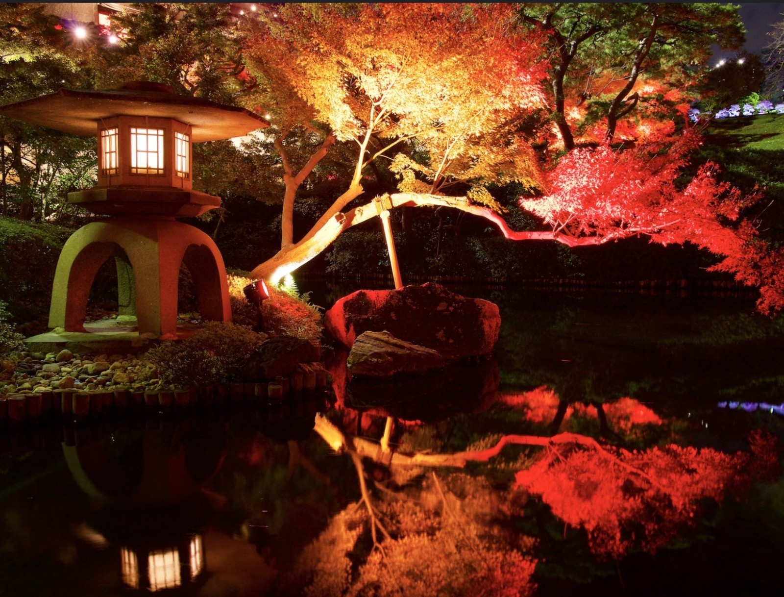 Фото экскурсии